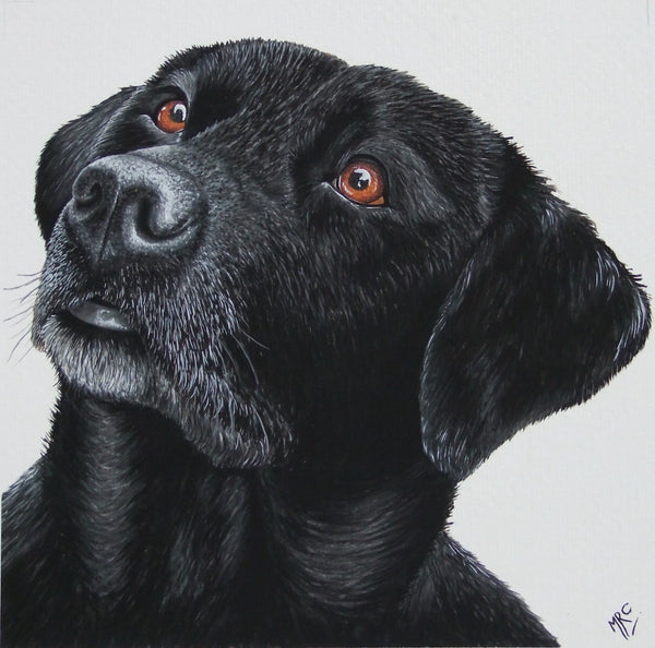 <p>Chloe</p>