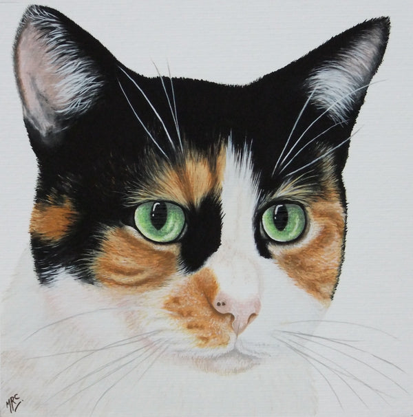 <p>Amber</p>