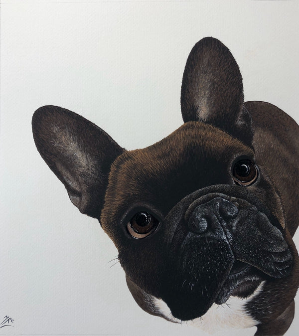 <p>Barnie</p>