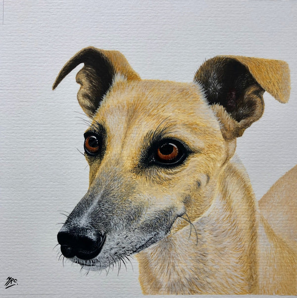 <p>Jasper</p>