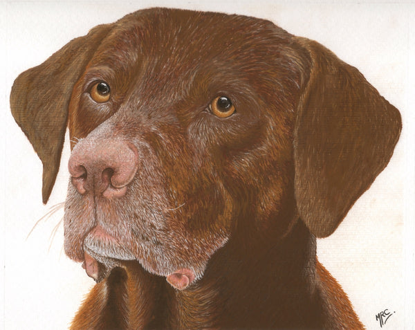 <p>Molly</p>