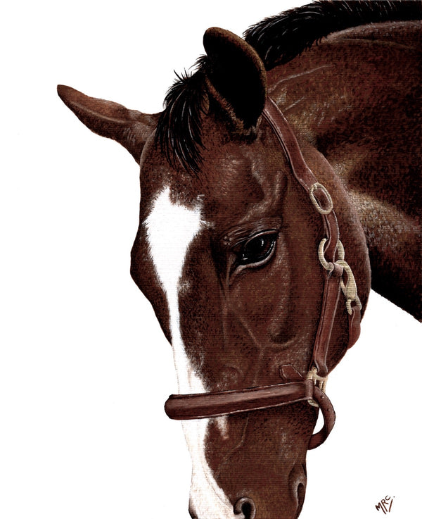 <p>Rummy</p>