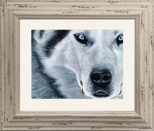EYES OF ICE