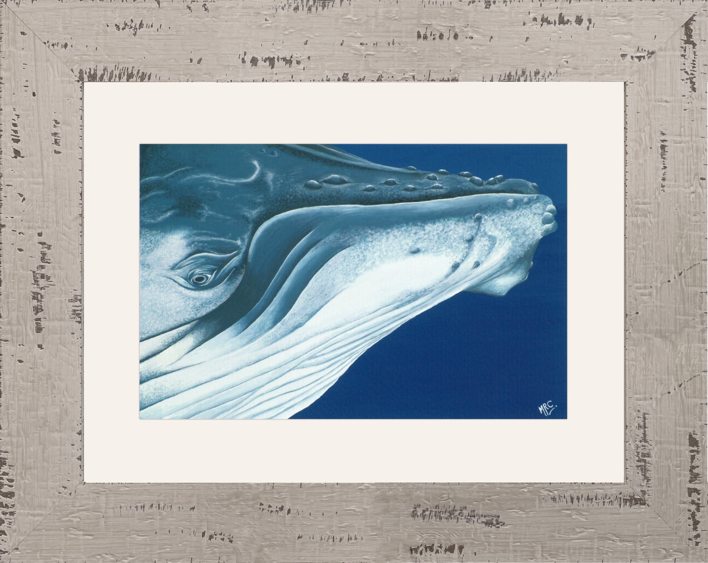 WHALE SONG