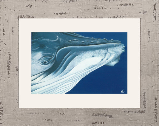 WHALE SONG