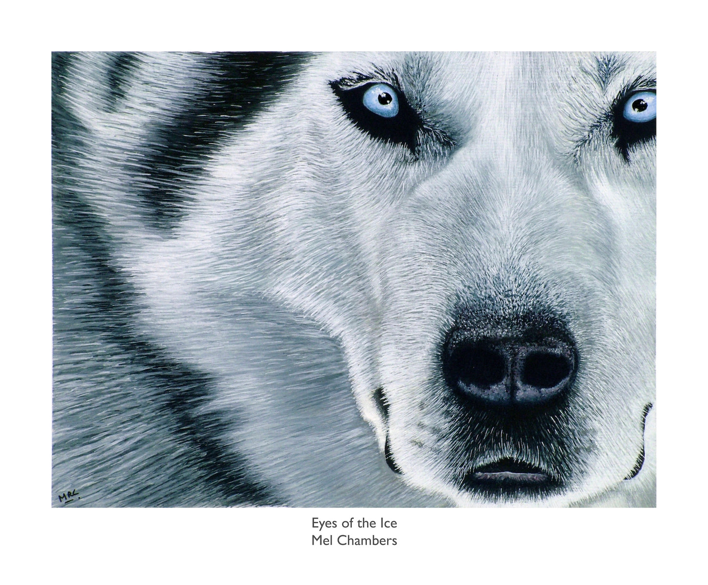 EYES OF ICE