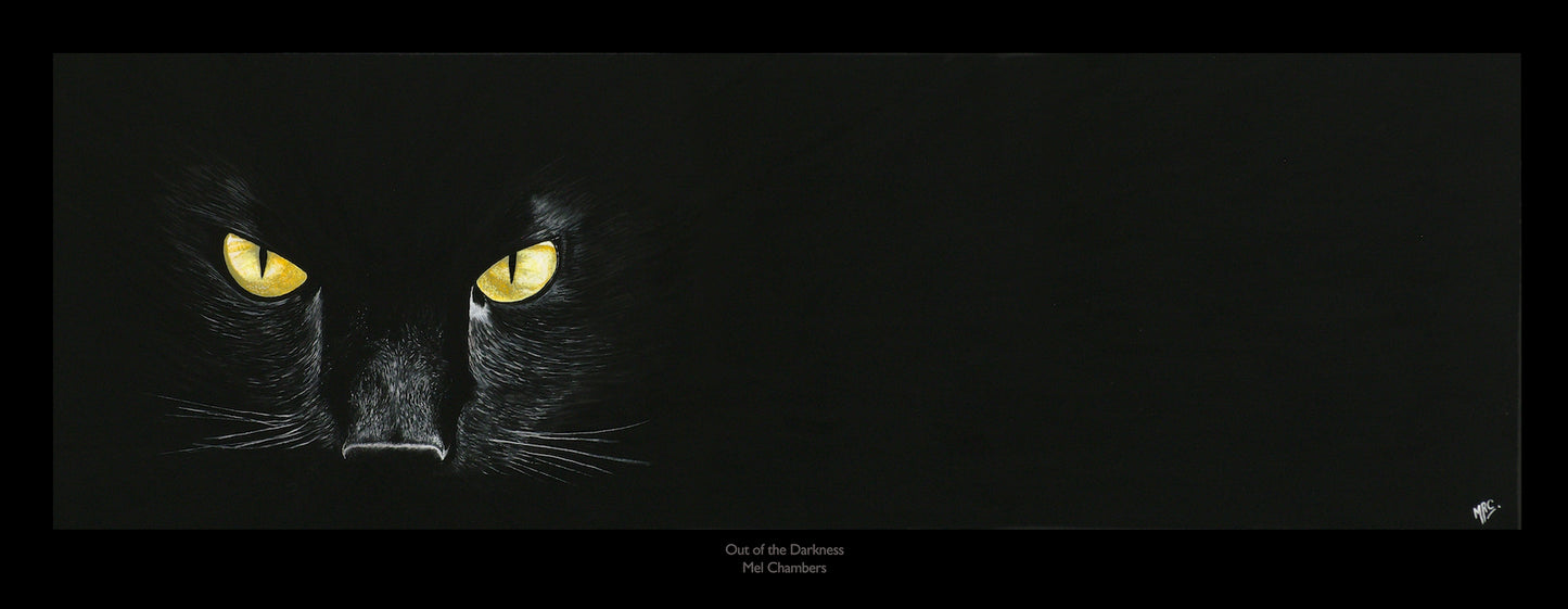 OUT OF THE DARKNESS