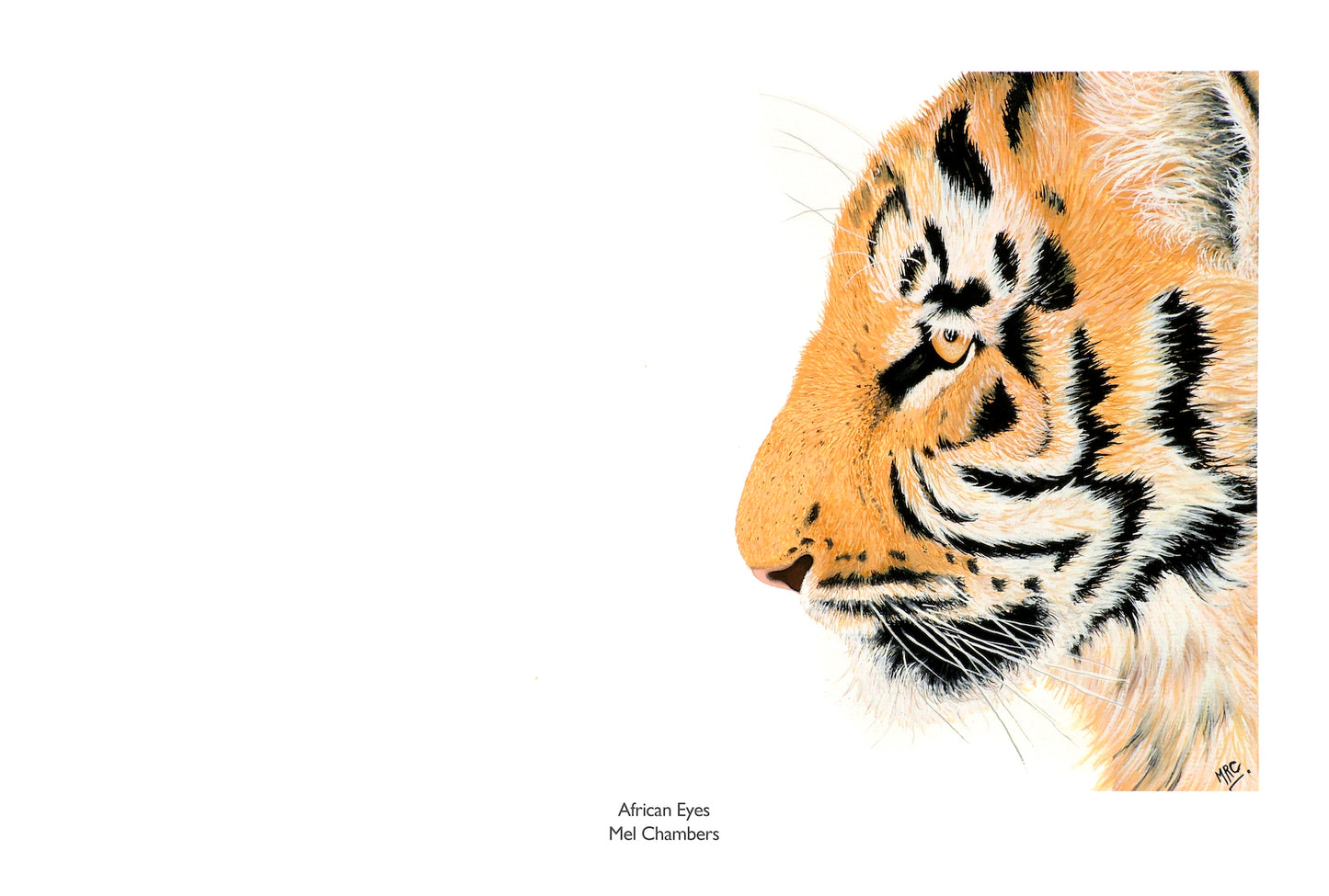 TIGER'S EYE