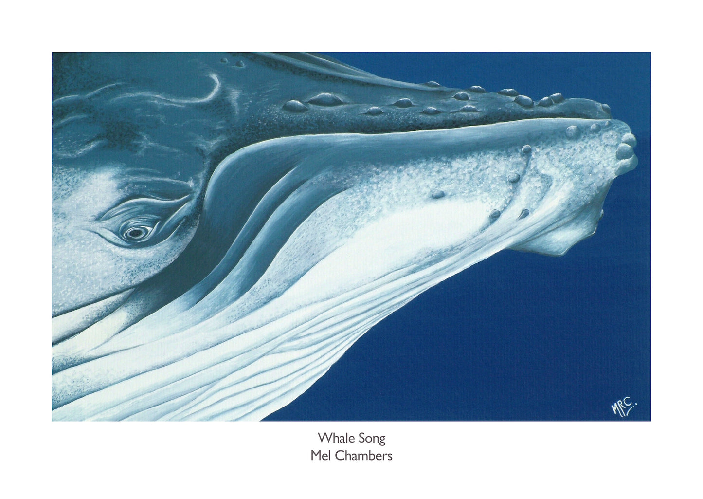 WHALE SONG