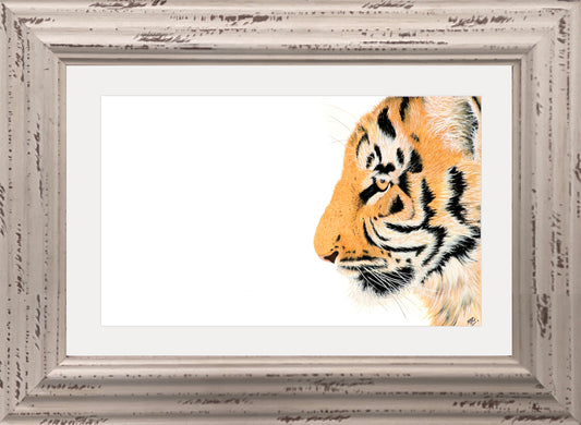 TIGER'S EYE